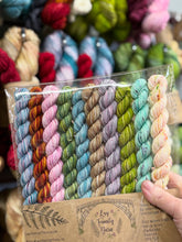 Santa’s secret sock club palate pack