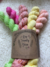The Dahlia society - July mini skein bundle