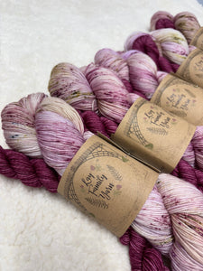 the Dahlia society - November sock set