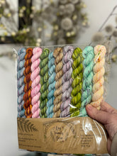 Santa’s secret sock club palate pack