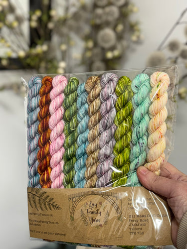 Santa’s secret sock club palate pack