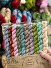 Santa’s secret sock club palate pack