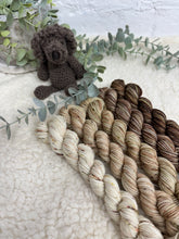 speckle and fade club - October 20g mini skein bundle