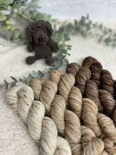 speckle and fade club - October maxi skein bundle