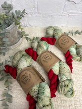 Mistletoe kisses Sock set