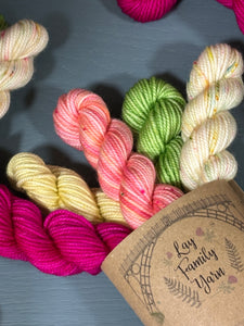 The Dahlia Society - March mini skein bundle