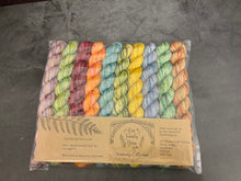 Squiddle village chapter 4 yarn pack - DK